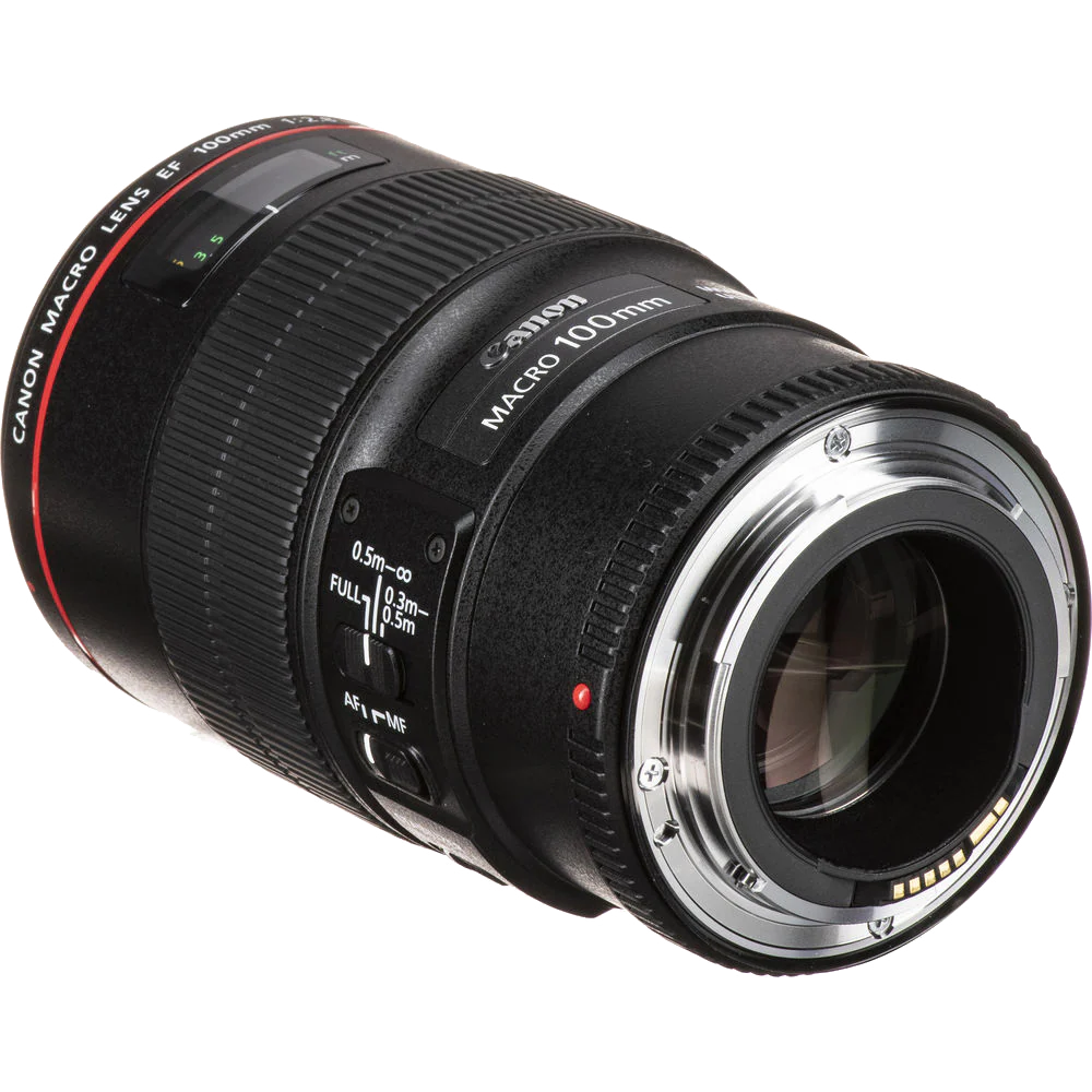 Canon EF 100mm f/2.8 Macro lens